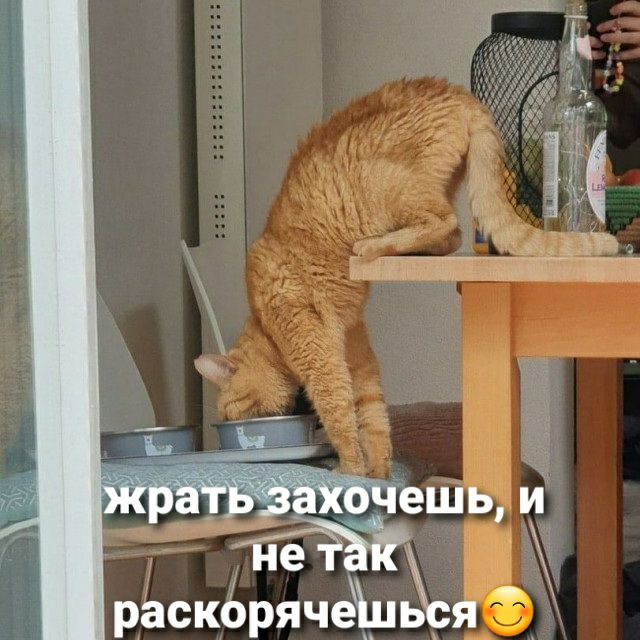 Ёешц и не раскОрячеідься