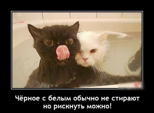 Чёрное с белым обычно не стирают но рискнуть можно