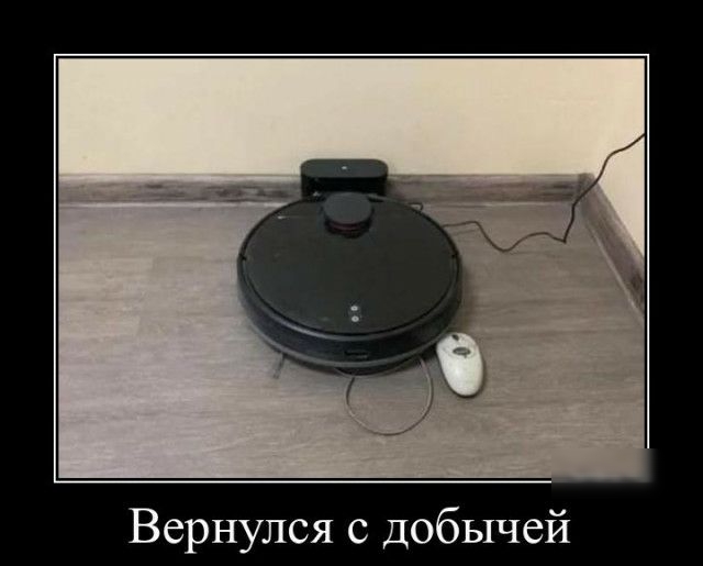 Вернулся с добычей