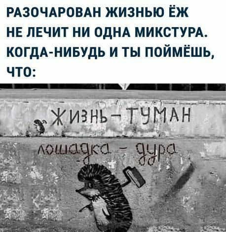 РАЗОЧАРОВАН жизнью Ёж нв лвчит ни ОДНА МИКСТУРА когдА нивудь и ты поймёшь
