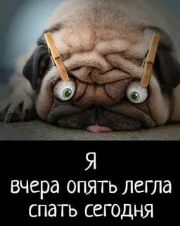 вчера ОПЯТЬ ЛСГЛд СПдіЪ СЕГОДНЯ