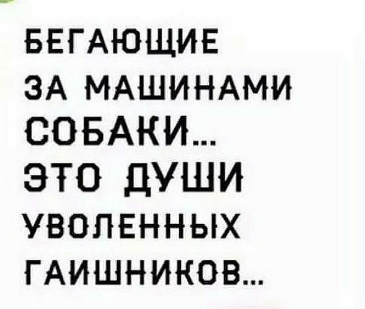 БЕГАЮЩИЕ ЗА МАШИНАМИ СОБАКИ ЭТО ДУШИ УВОЛЕННЫХ ГАИШНИКОВ