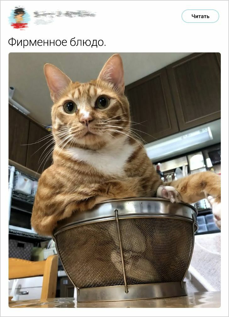 Фирменное блюдо