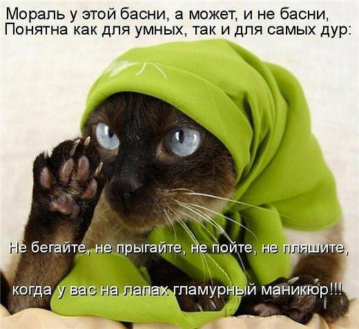 Мораль у этой басни а может и не басни ПОНЯТНЗ как дПЯ уМНЫХ так И дПЯ СЭМЫХ ДУРЁ