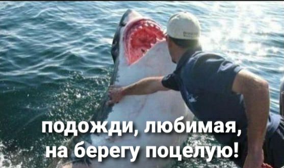 ПОДОЁЁЁЪмая наб егупоцёа