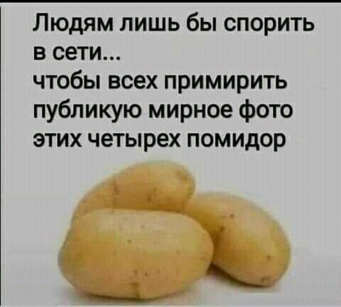 Людям лишь бы спорить в сети чтобы всех примирить публикую мирное фото этих четырех помидор