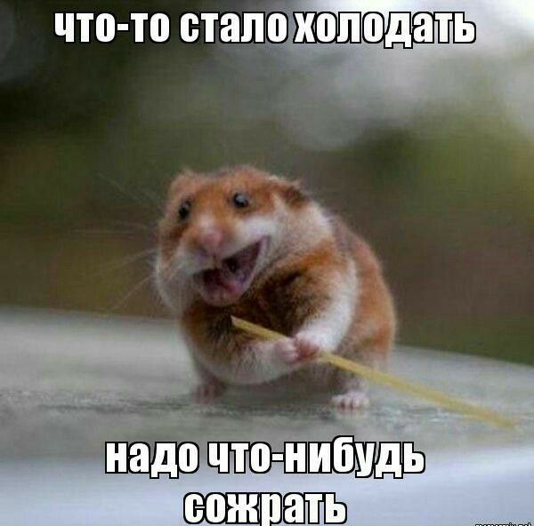 что то ВТЗЛПШВШПДЗТЬ