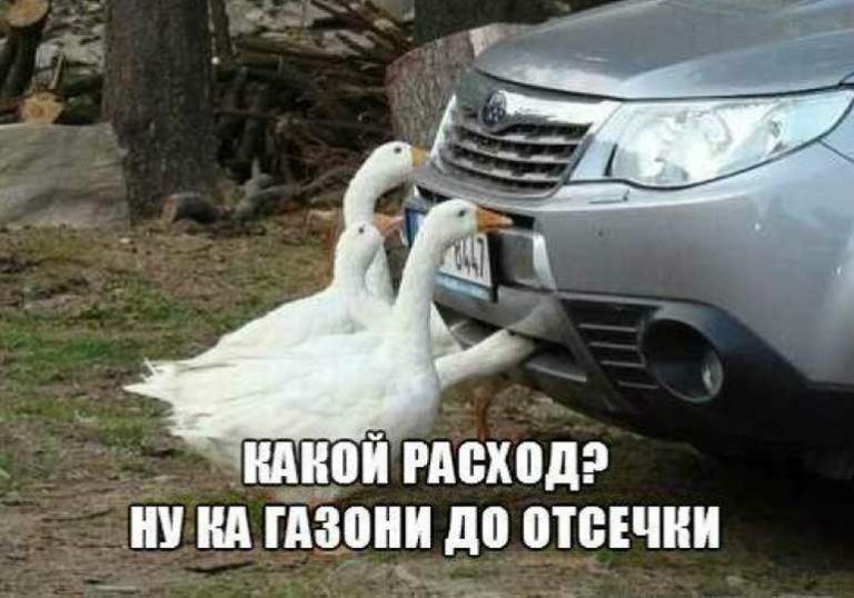 ШШ РАВХОД _Дну ид гдзони до о_твічии