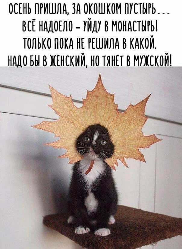 осонь поишло зд окошком пустого __ воЕ нодооло уйду в мондстыгы только поко но гошипо в кокой нодо вы в жонский но поп в мужской о