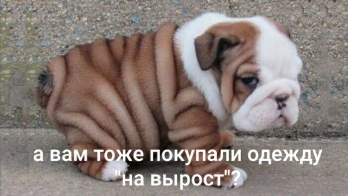 __ _ е покупали одежду выро_ст мм