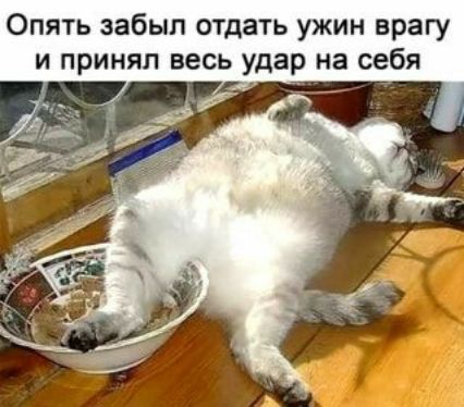 Опять забыл отдать ужин врагу и принял весь удар на себя