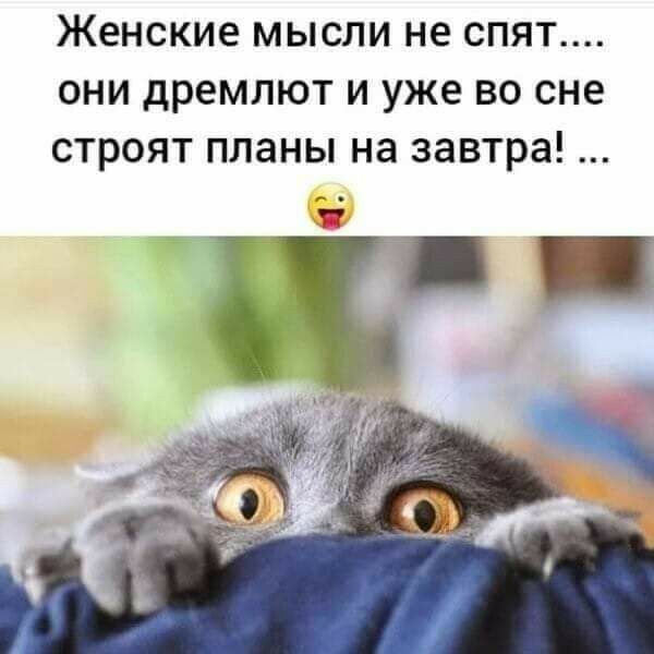 женские МЫСЛИ НЕ СПЯТ ОНИ дремлют И уже ВО сне СТРОЯТ планы на завтра