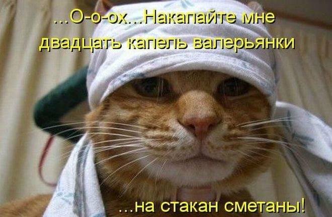 1 _ тіох Накагъаите