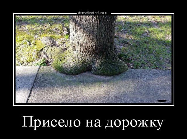 йгпшизигшп Присело на дорожку