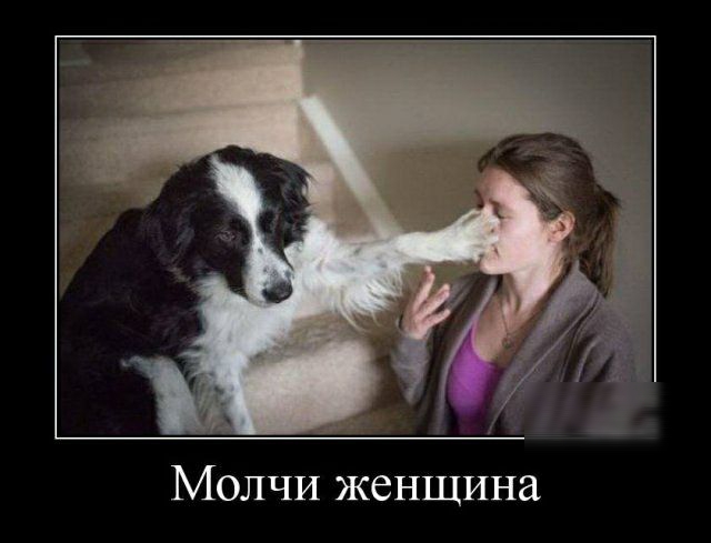 Молчи женщина