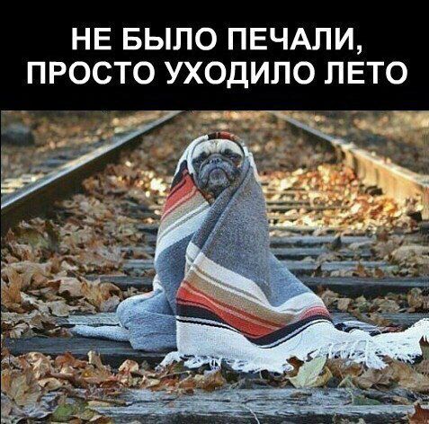 НЕ БЫЛО ПЕЧАЛИ ПРОСТО УХОДИЛО ЛЕТО