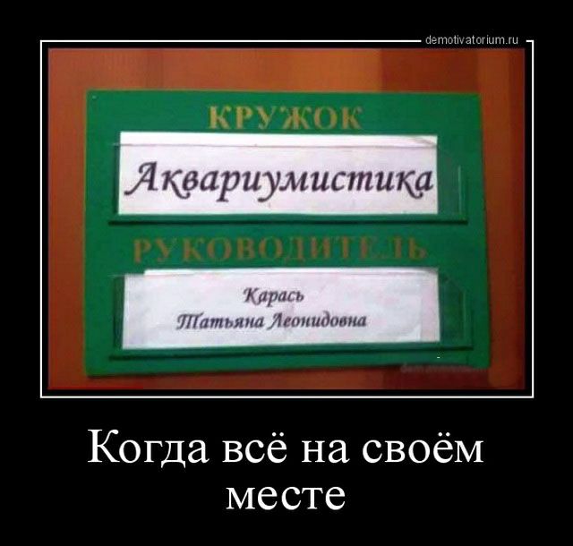 КРУЖО_ Я квариумистика Аир Лилит ДюниАтина Когда всё на своём месте