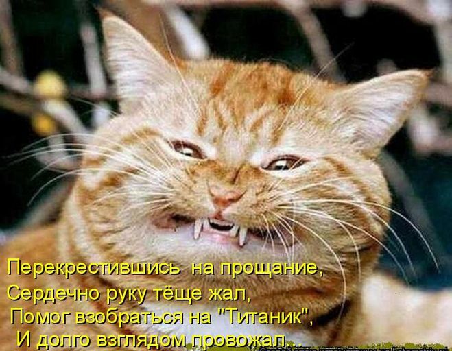 И долго тыщиім