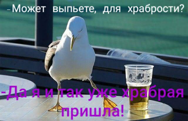 М0 т выпьете для храбрости
