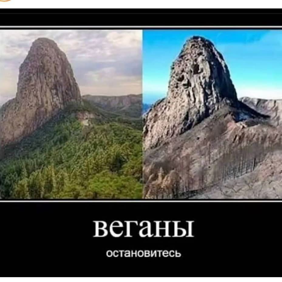 веганы ОСТЗНОВИТеСЬ