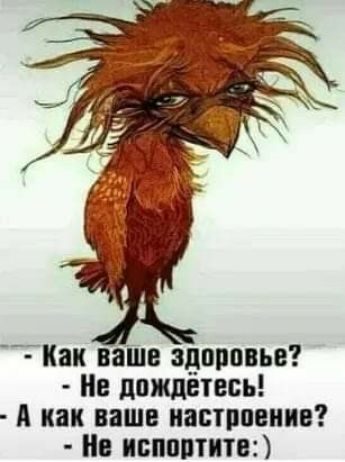 Тик ваще здоровье Нв дождитесь А как вашв пастппвипв в напитки