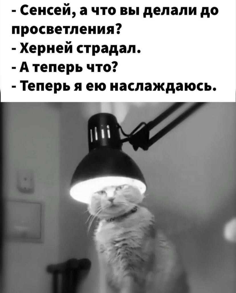 Сенсей а что вы делали до просветления Херней страдал А теперь что Теперь я ею наслаждаюсь