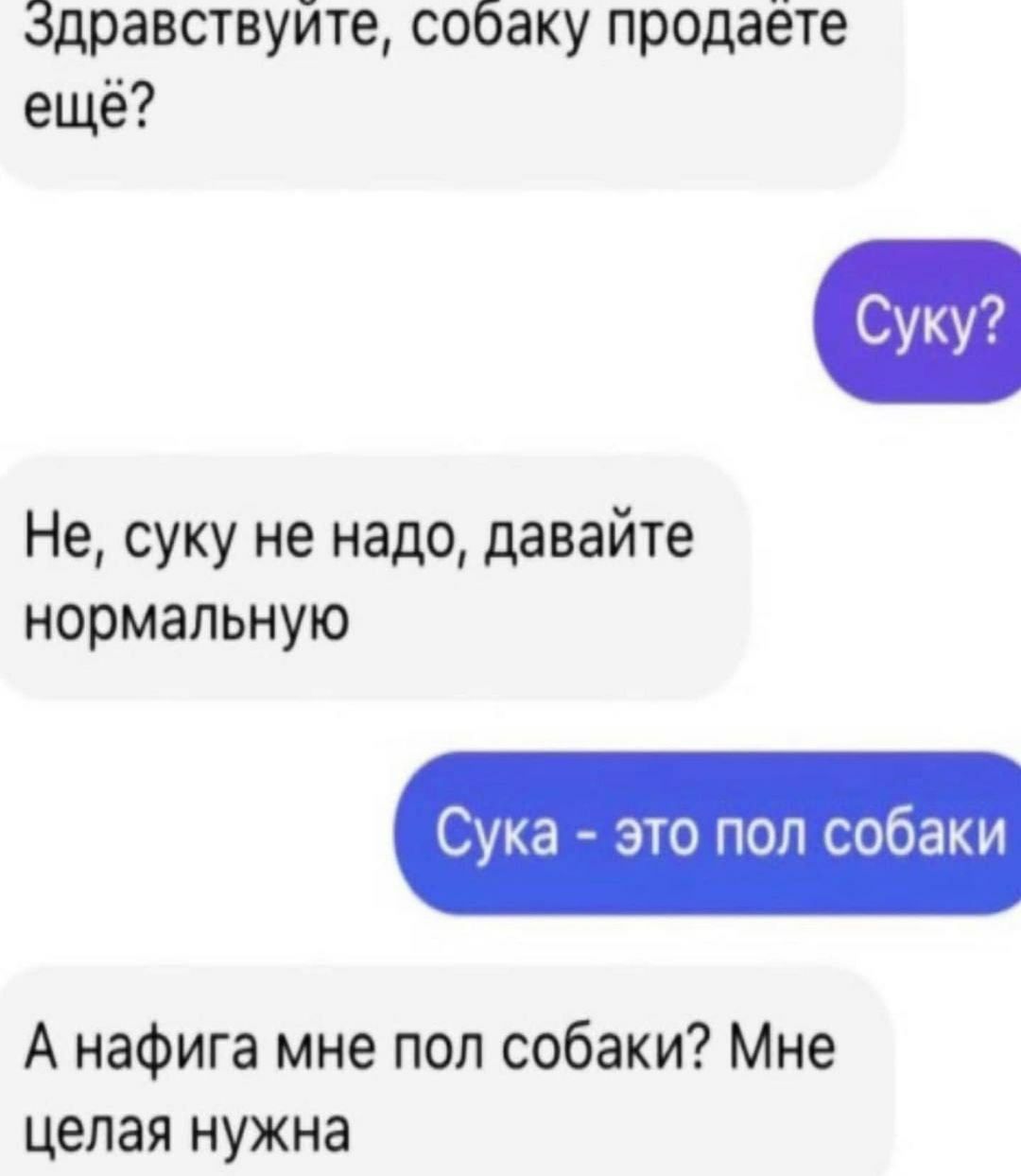 Здравствуйте собаку продаёте ещё Не суку не надо давайте нормальную Сука это поп собаки А нафига мне пол собаки Мне целая нужна