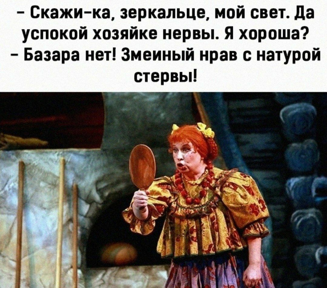 Скажи ка зеркальце мой свет да успокой хозяйке нервы я хороша Базара нет Змеиный нрав с натурой стервы