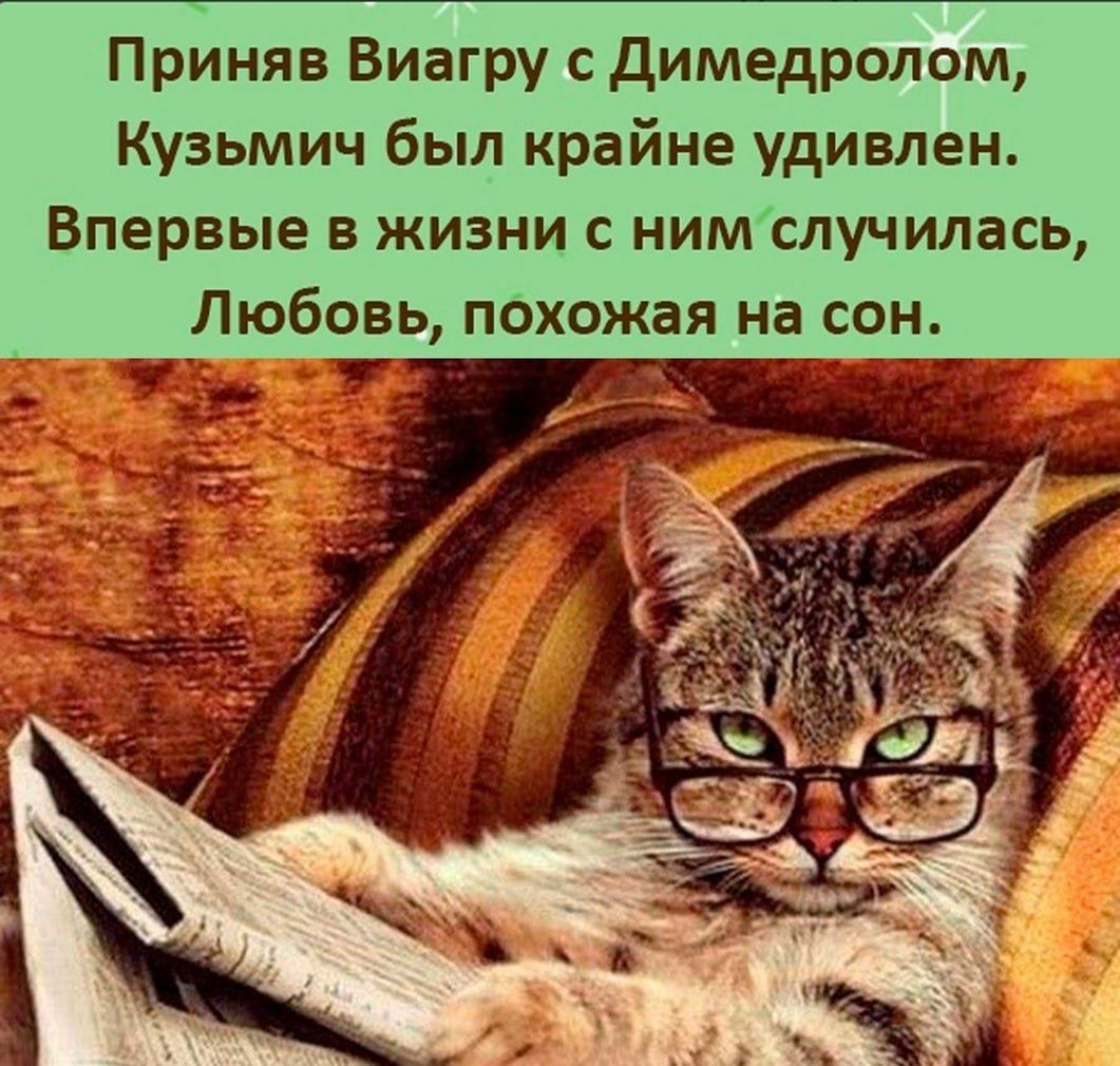 Приняв Виагру с Димедролом Кузьмич был крайне удивлен Впервые в жизни с нимслучилась Любовь пбхожая на сон