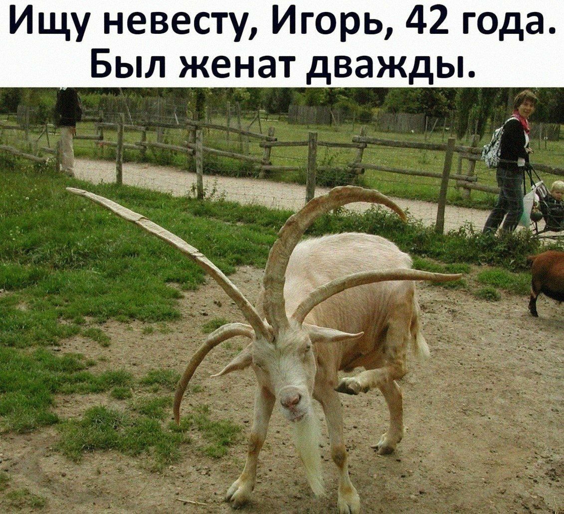 Ищу невесту Игорь 42 года Был женат дважды