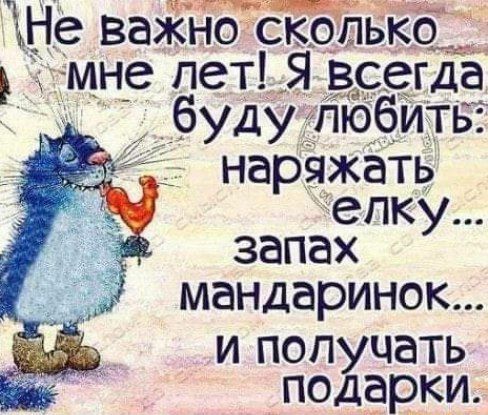 Не важнотскопько імн_е лет Я всегда буду любить Ь наряжать елку запах мандаринок и получать подарки