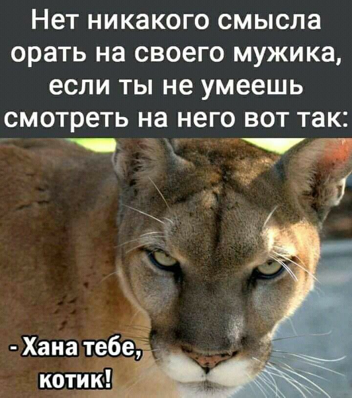 Нет никакого смысла орать на своего мужика если ты не умеешь смотреть на него вот так