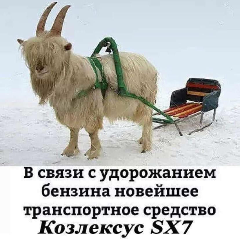 В связи с удорожанием бензина новейшее транспортное средство Козлексус БХ 7