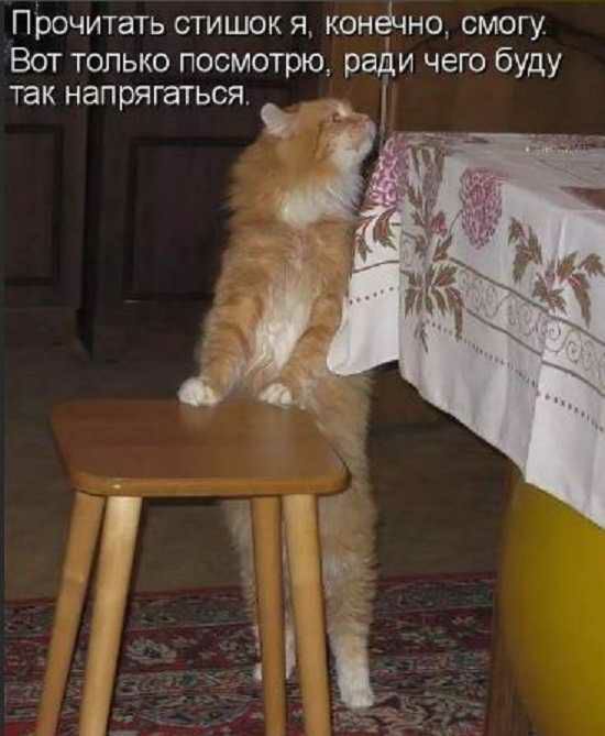 Прочитать СТИШОК Я КОНЁЧНО СМОГУ Вот только посмотрю ради чего буду так напрягаться