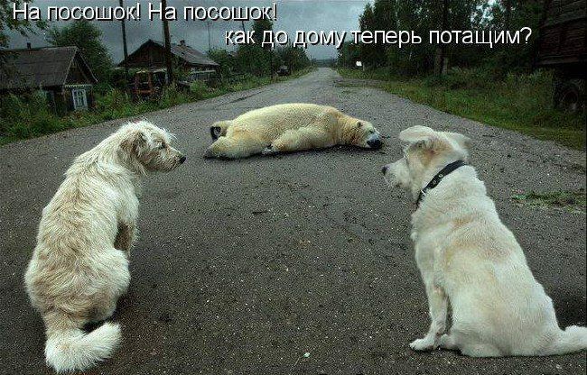 жк еперь потаЩим