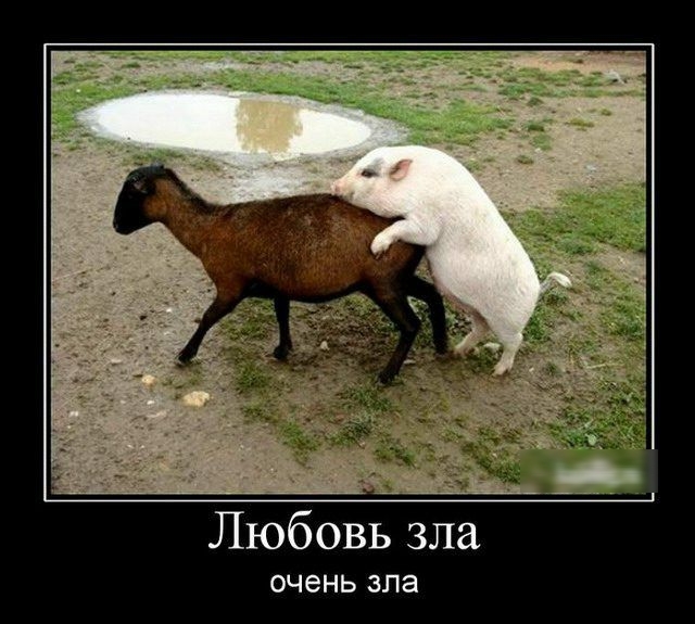 Любовь зла ОЧЭНЬ зла
