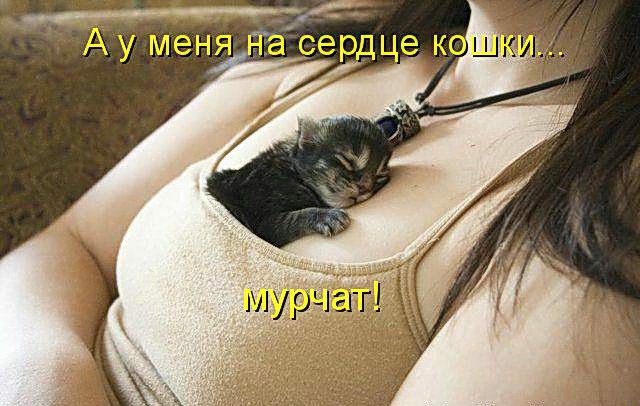_ __ уменя асердце _о