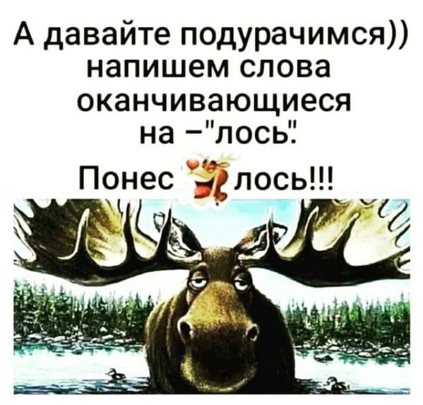 А давайте подурачимся напишем слова оканчивающиеся на лось Понес глось