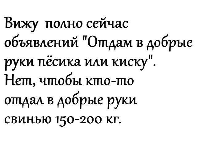 Вижу подно сейчас объявжний Отдам в добрые руки пёсика ми киску Нет чтобы кто то отдам в добрые руки свинью 150 200 кг