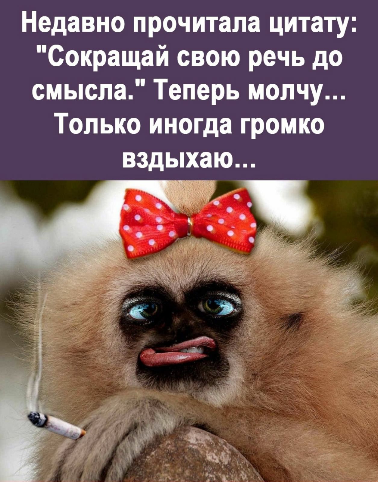 Недавно прочитала цитату Сокращай свою речь до смысла Теперь молчу Только иногда громко вздыхаю