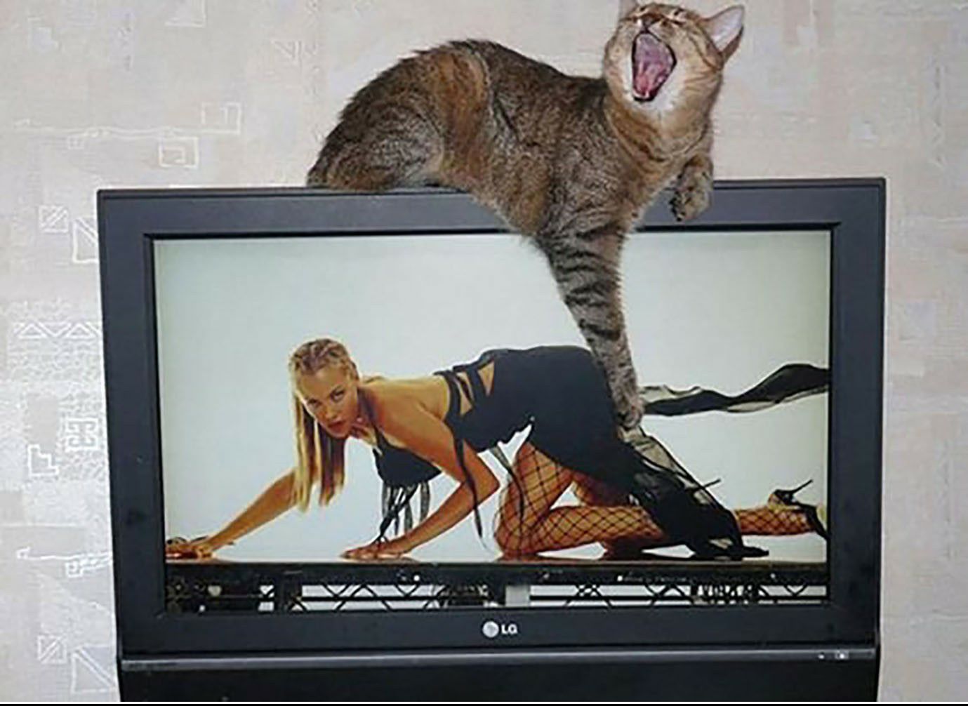 _ДЩ ___А