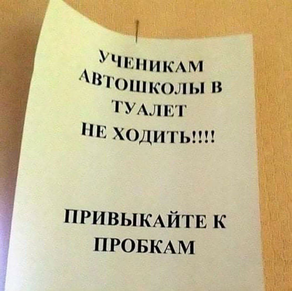 НИКАМ Юниколы в ТУАЛЕТ Р11рг1и Учи ПРИВЫКАЙТЕ к ПРОБКАМ