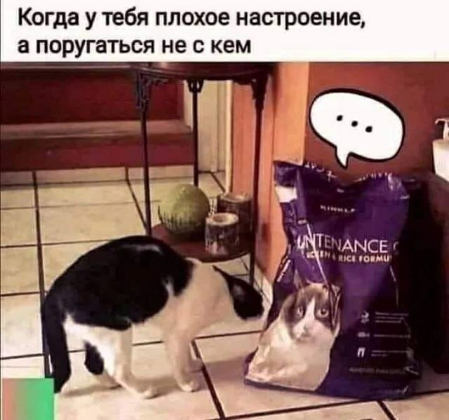 Когда у тебя плохое настроение а поругаться не с кем