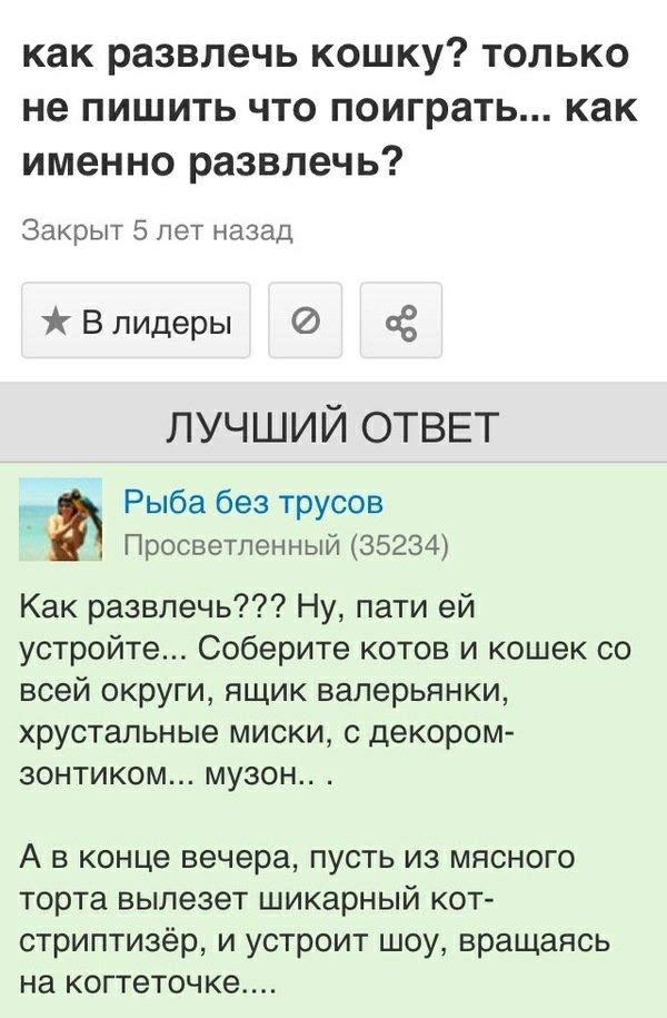как развлечь кошку только не пишить что поиграть как именно развлечь Закрыт 5 лет назад В лидеры 0 ЛУЧШИЙ ОТВЕТ а Рыба без трусов Просветленный 35234 Как развлечь Ну пати ей устройте Соберите котов и кошек со всей округи ящик валерьянки хрустальные миски с декором зонтиком музон А в конце вечера пусть из мясного торта вылезет шикарный кот стриптизёр и устроит шоу вращаясь на когтеточке