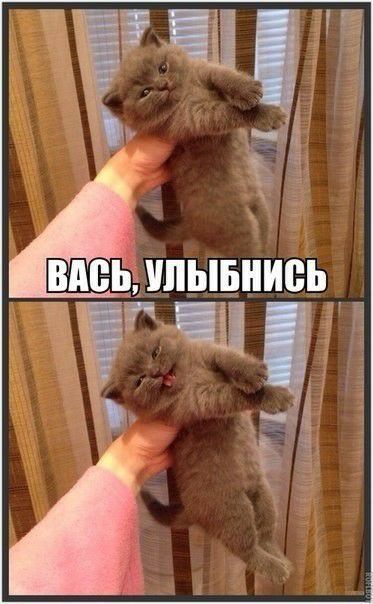 ! 4 шё вась, ультбнись я я !гч о