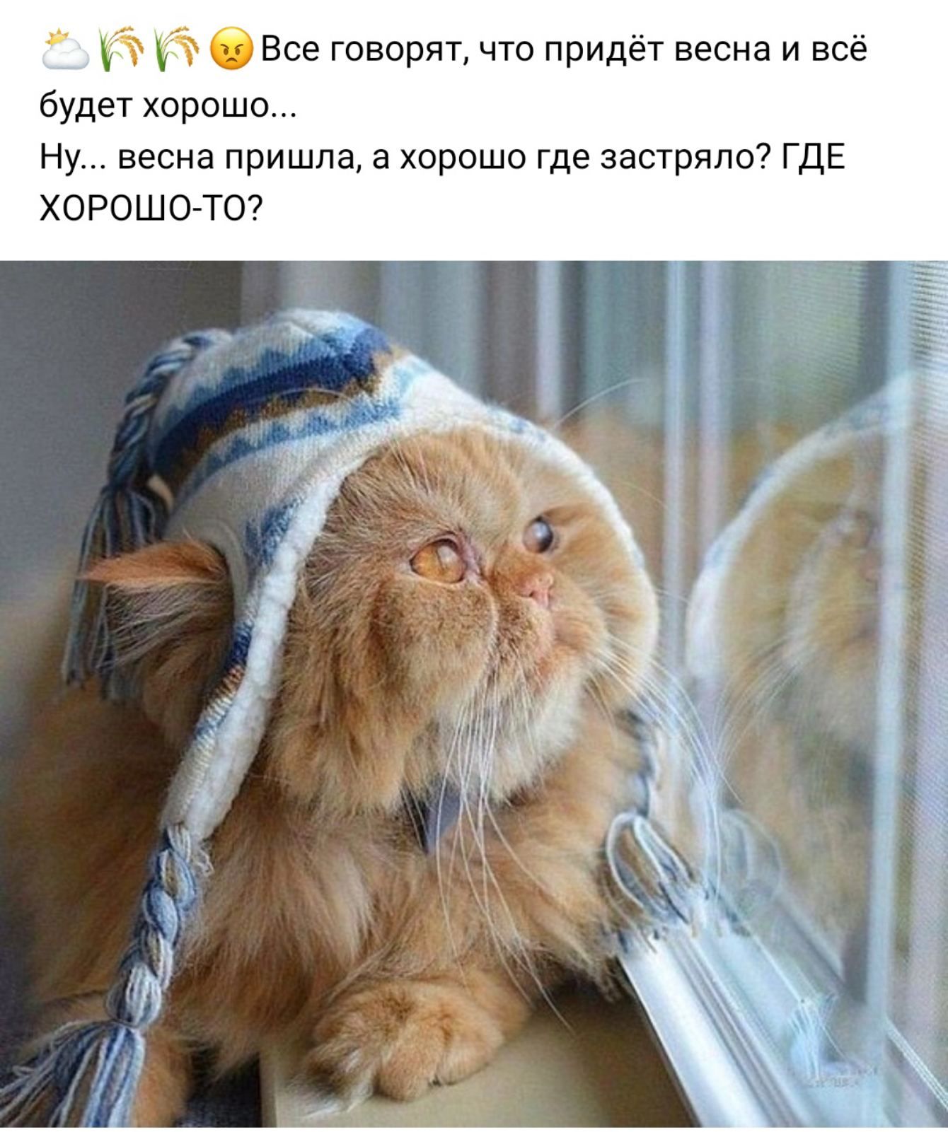 Все говорят что придёт весна и всё будет хорошо Ну весна пришла а хорошо где застряло ГДЕ ХОРОШО ТО