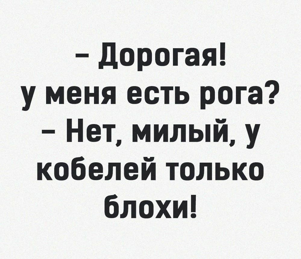 Дорогая у меня есть рога Нет милый у кобелей только блохи