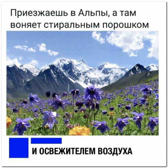 Приезжаешь в Альпы а там воняет стиральным порошком 7 Г Ё Ё И ОСВЕЖИТЕПЕМ ВОЗДУХА