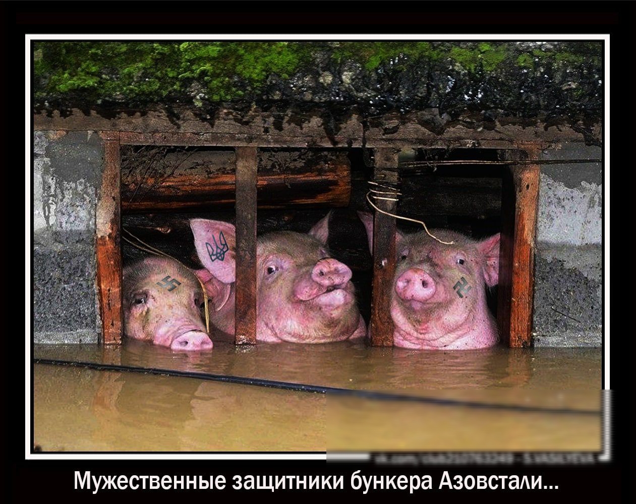Мужественные защитники бункера АзовстаАи