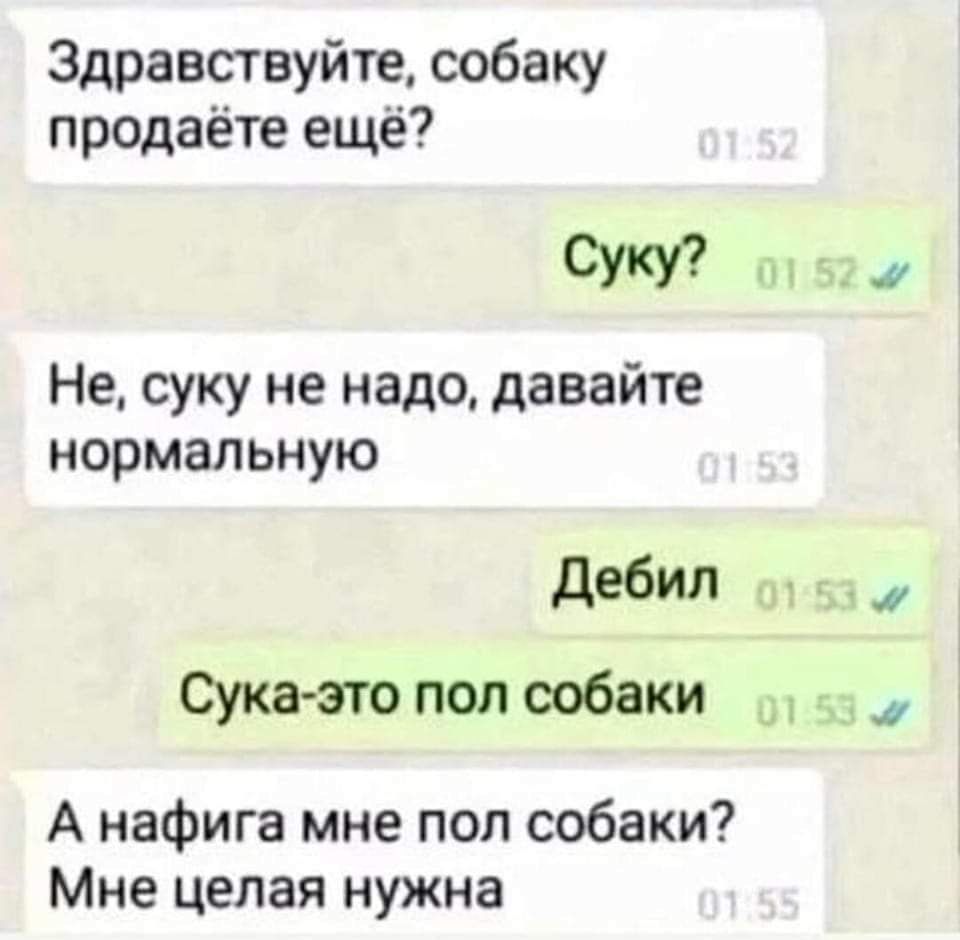 Здравствуйте собаку продаёте ещё СУКУ у а Не суку не надо давайте нормальную дебил п Сука зто поп собаки А нафига мне пол собаки Мне целая нужна